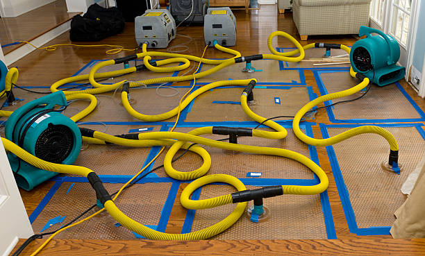 Professional Crawl Space Water Removal technician working in Islesford, ME